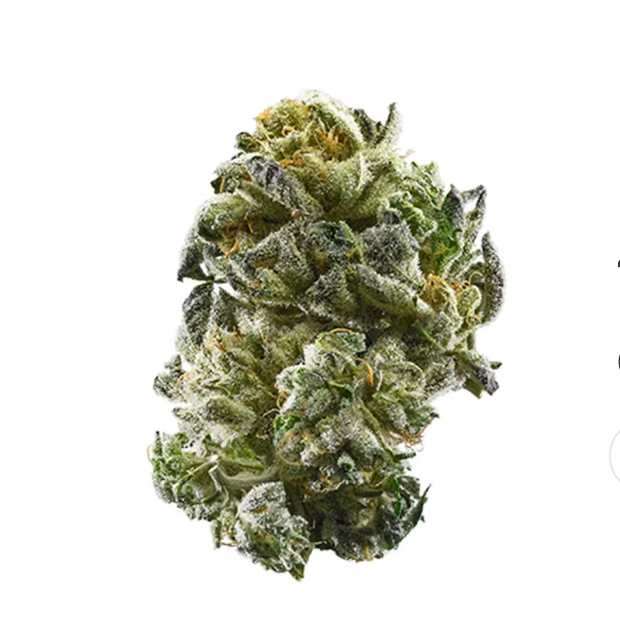 Screenshot 2024-11-26 at 10.19.16 AM Cookies - Banana Jelly X White Runtz - Premium Flower 8oz (HP) - Image 1